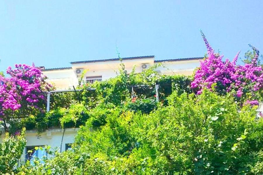 Guest House Madra Μπούντβα Εξωτερικό φωτογραφία